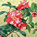 Akiko Fukunaga Gallery